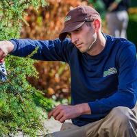 Dormant Pruning