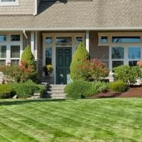 lawn