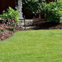 lawn