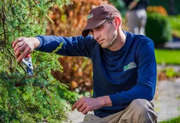 pruning shrubs