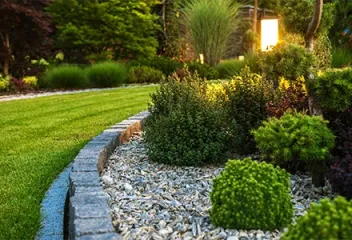 trees and shrubs