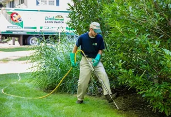 technician deep root feeding