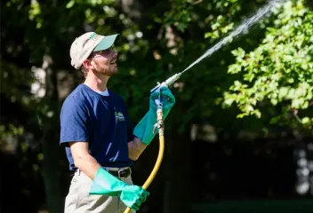 Dial Environmental technician spraying trees