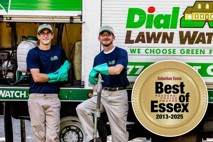 dial-environmental-lawn-technicians-best-of-essex