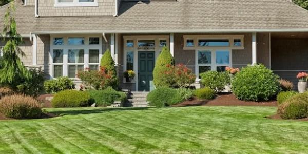 lawn