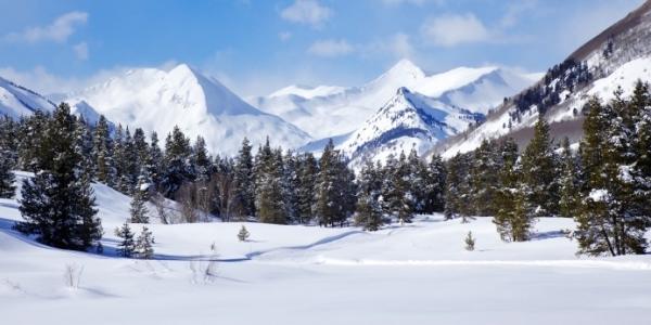 winter