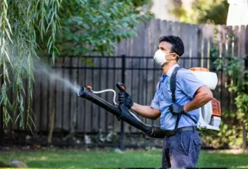 mosquito mister